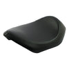 LePera, Lil' Nugget solo seat. Smooth - 08-21 Touring
