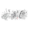Sprocket shaft bearing assembly - 77-03 XL (NU)