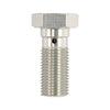 TRW Banjo Bolt silver anodized M10x1.00 - Universal