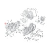 Colony, oversize timing/drain plug. Acorn - 38-99 B.T.(EXCL. TC);52-03 K, XL; 38-73 45" SV(NU)