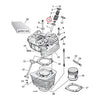 Manley, valve guide seal set. Viton (24) - 84-99 Evo B.T.; 99-04 Twin Cam; 86-03 XL (NU)