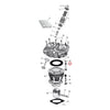 S&S, 12-point head bolt kit. Zinc - 48-84 B.T.(NU)