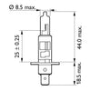 Philips Vision headlamp bulb H1 -