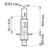 Philips VisionPlus headlamp bulb H1 -