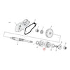 WAI, starter gear - 65-88 B.T.; 67-80 XL (NU)