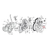 James, shifter shaft oil seal - 52-85 K, XL (NU)