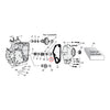 Pinion shaft bushing. Std size - 54-E73 B.T. (NU)