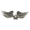 Biker Pins Eagle in flame pin - Fits to your jacket, vest, backpack or anywhere else you want