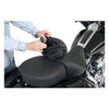 Mustang, rider backrest cover/pouch. Standard Touring -