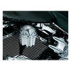 Kuryakyn, Skull horn cover. Chrome - 93-23 H-D with side mounted cowbell horn cover