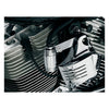 Kuryakyn, Bluegrass oil catch can -