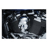 Kuryakyn, Skull horn cover. Chrome - 17-23 B.T. with stock 'waterfall' side mounted horn covers