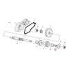 NUT, STARTER SHAFT - 65-82 FL; 71-84 FX; 80-84 FXWG; 80-88 FLT, FXR (EXCL. SOFTAILS); 67-80 XL (NU)