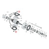Generator field pole screws - 58-69 FL; 58-81 XL. With 2-brush generators (NU)