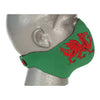 Bandero biker face mask Dragon - One size fits most