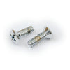 GW, inspection cover mount screws. Chrome - 70-98 B.T. (NU)