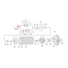 Well nut, clutch adjusting screw - L84-22 XL; 08-12 XR1200 (NU)