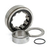 Camshaft roller bearing. Outer, rear - 99-06 Twin Cam (excl. 2006 Dyna) (NU)