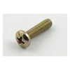 Cycle Electric, brush cover screw -