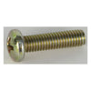 Cycle Electric, brush plate screw -