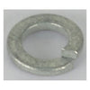 Cycle Electric, brush plate lockwasher -