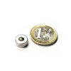Motogadget, magnet ring 10/24" (small) - Universal