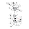 S&S CHECK BALL SPRING -