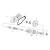 Standard Co., starter gear - 65-88 B.T.; 67-80 XL (NU)