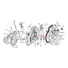 Sprocket shaft bearing spacer shim .110" - 77-03 XL (NU)