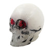 Cycle Visions Multitude knob Skull head -