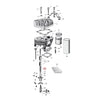 VALVE SPRING SET - 41-73 45" SIDEVALVES(NU)