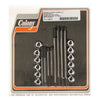 COLONY CRANKCASE BOLT KIT - 96-99 EVO B.T.(NU)