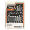 COLONY ALTERNATOR & DERBY CVR MOUNT KIT - 02-17 V-Rod