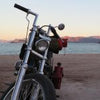 BILTWELL ZED 1 INCH ZWART STUUR
